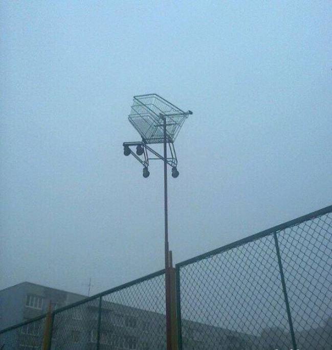 27 images that prove you may not belong to this world Picture 25