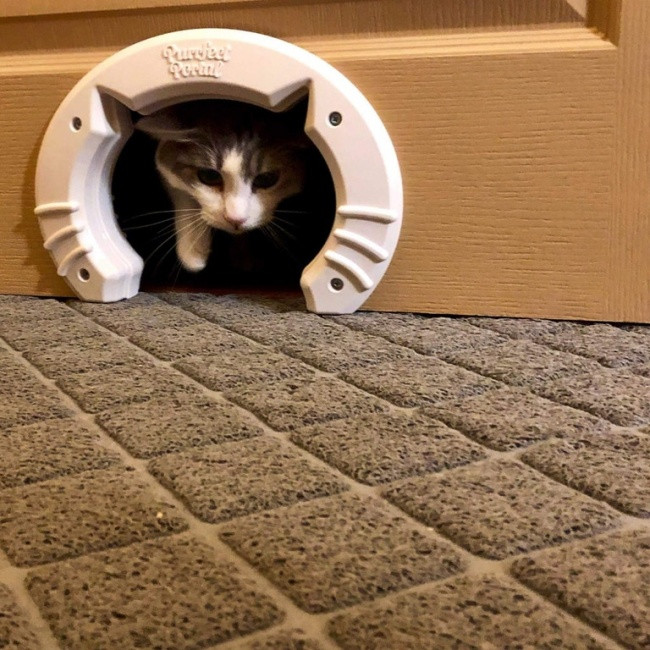 28 great inventions need to be replicated everywhere Picture 26