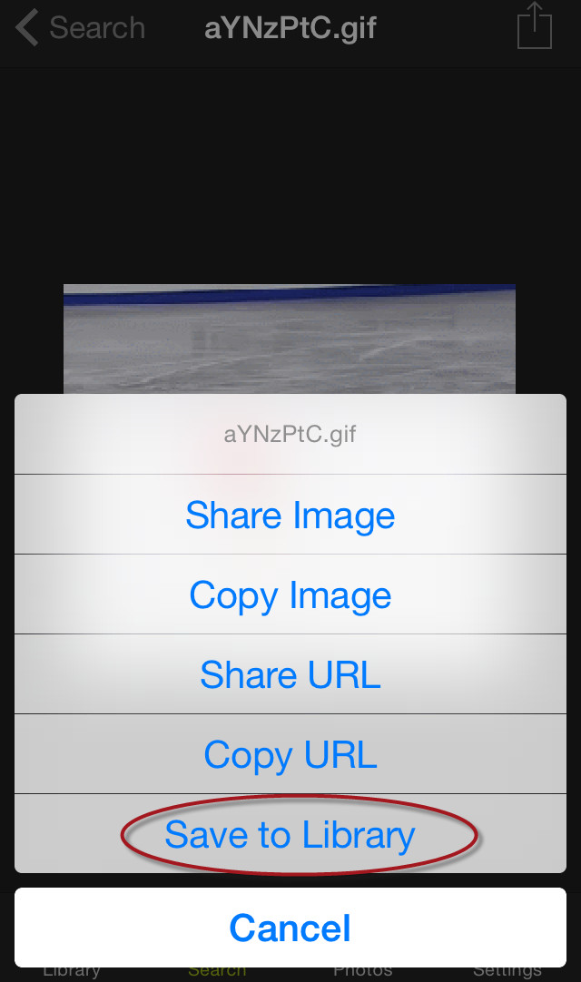 3 extremely simple ways to save animated GIFs to iPhone Picture 6