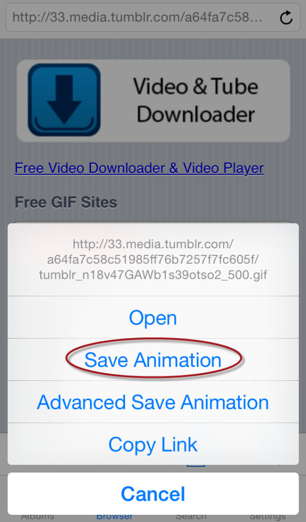 3 extremely simple ways to save animated GIFs to iPhone Picture 8