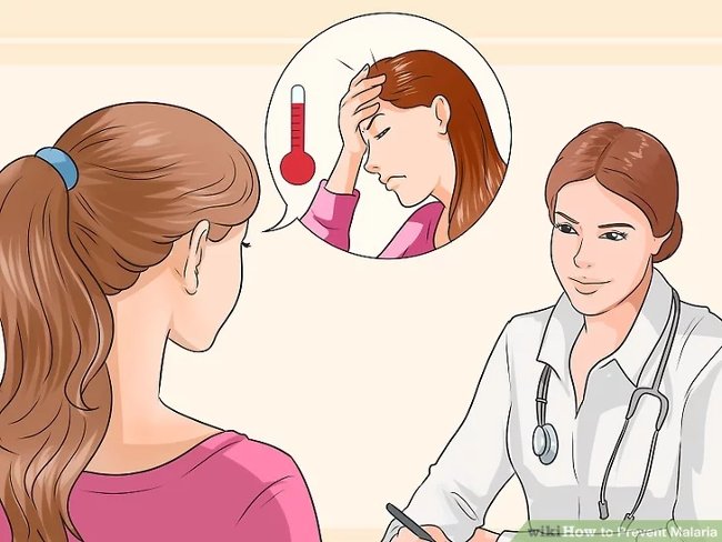 3 simple ways to effectively prevent dengue Picture 11