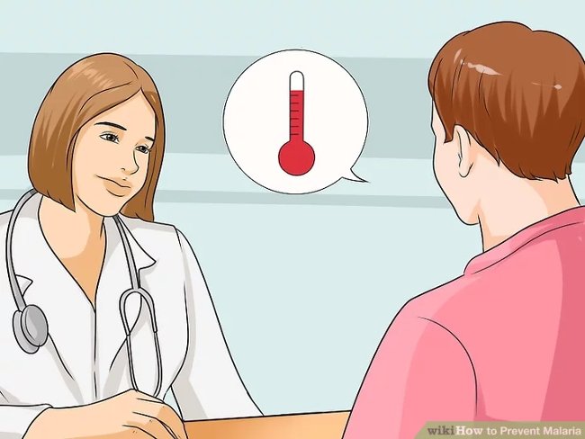 3 simple ways to effectively prevent dengue Picture 13