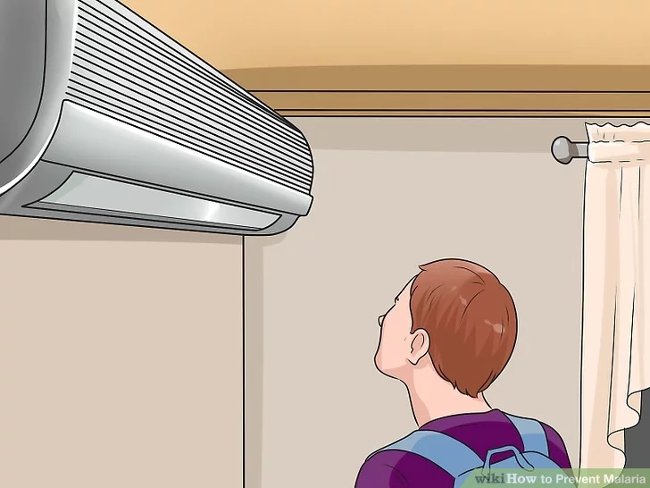 3 simple ways to effectively prevent dengue Picture 5