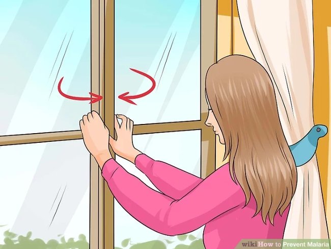 3 simple ways to effectively prevent dengue Picture 7