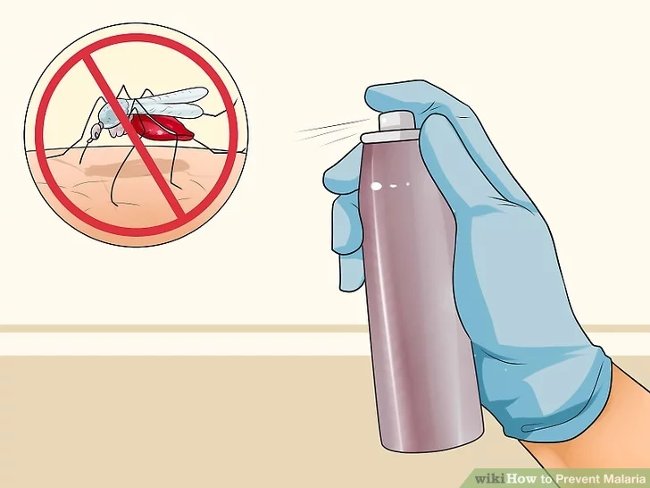 3 simple ways to effectively prevent dengue - TipsMake.com