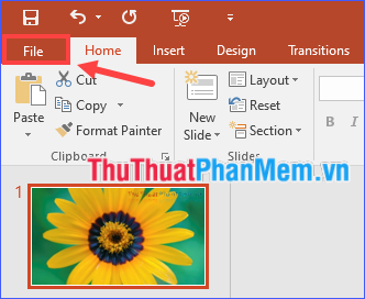 3 The easiest way to add text to photos Picture 13