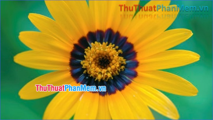 3 The easiest way to add text to photos Picture 17