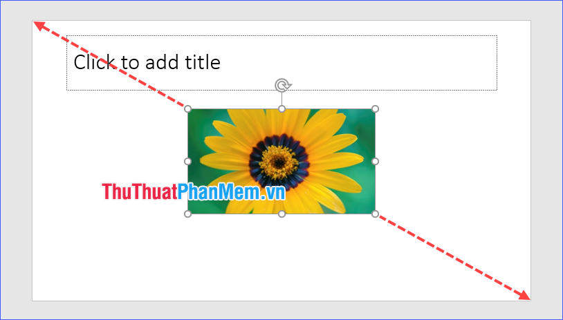 3 The easiest way to add text to photos Picture 9
