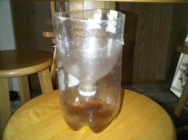 3 ways to kill flies do not cost a penny but very effective Picture 1