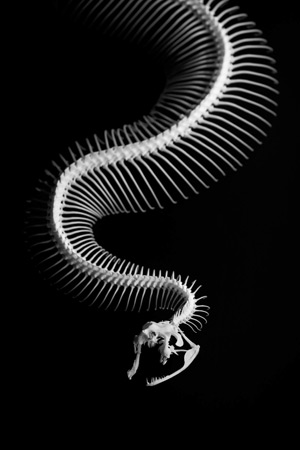 30+ beautiful black dark wallpapers for phones, OLED screens Picture 26