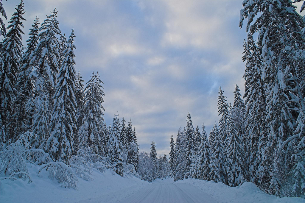 30 beautiful natural scenes that make you come to Norway once in your life Picture 23