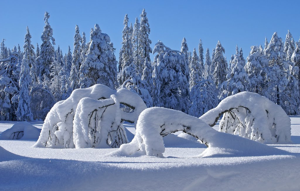 30 beautiful natural scenes that make you come to Norway once in your life Picture 26