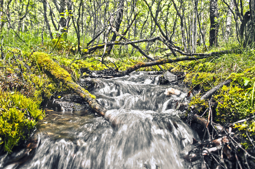 30 beautiful natural scenes that make you come to Norway once in your life Picture 9