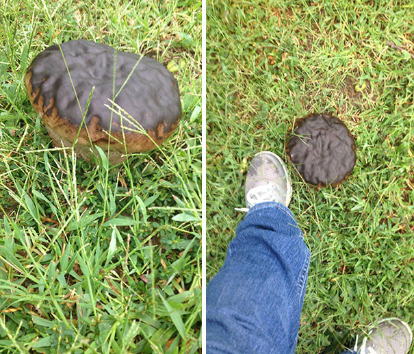 30+ delicious dishes maybe you will 'fall back' when enjoying Picture 17