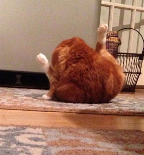 30+ delicious dishes maybe you will 'fall back' when enjoying Picture 27