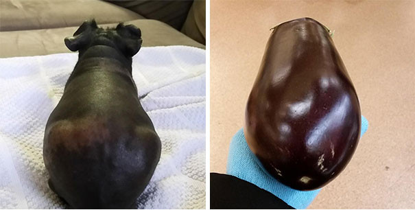 30+ delicious dishes maybe you will 'fall back' when enjoying Picture 30