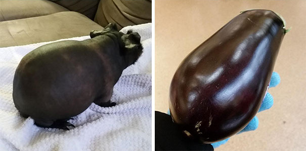 30+ delicious dishes maybe you will 'fall back' when enjoying Picture 31