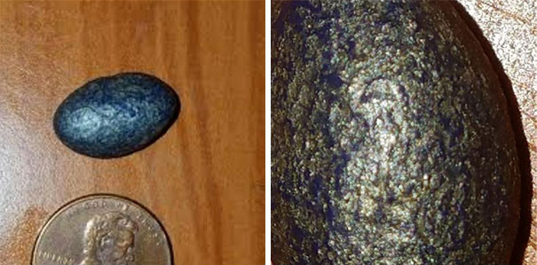 30+ delicious dishes maybe you will 'fall back' when enjoying Picture 35