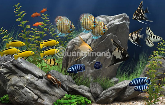 30 great screensavers for the desktop Picture 25