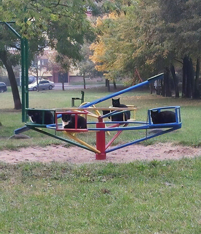 30+ images proving anything in life can happen Picture 1