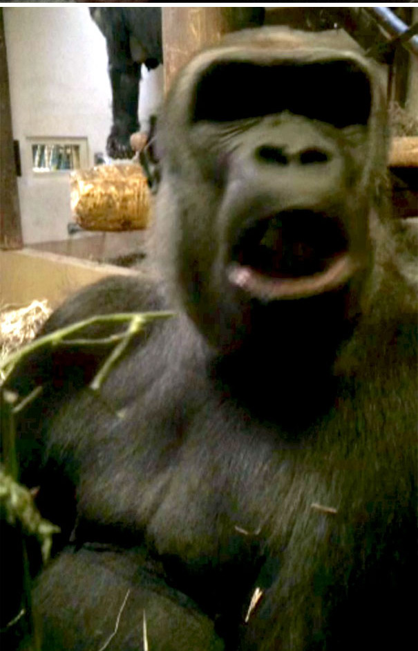 30+ images proving anything in life can happen Picture 10