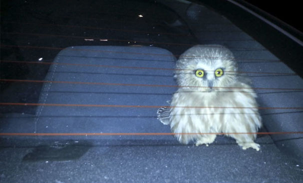 30+ images proving anything in life can happen Picture 28