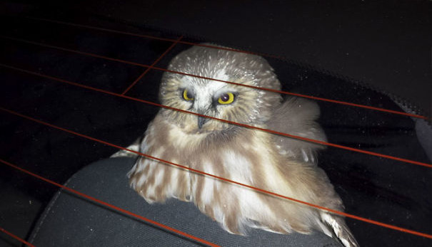 30+ images proving anything in life can happen Picture 29