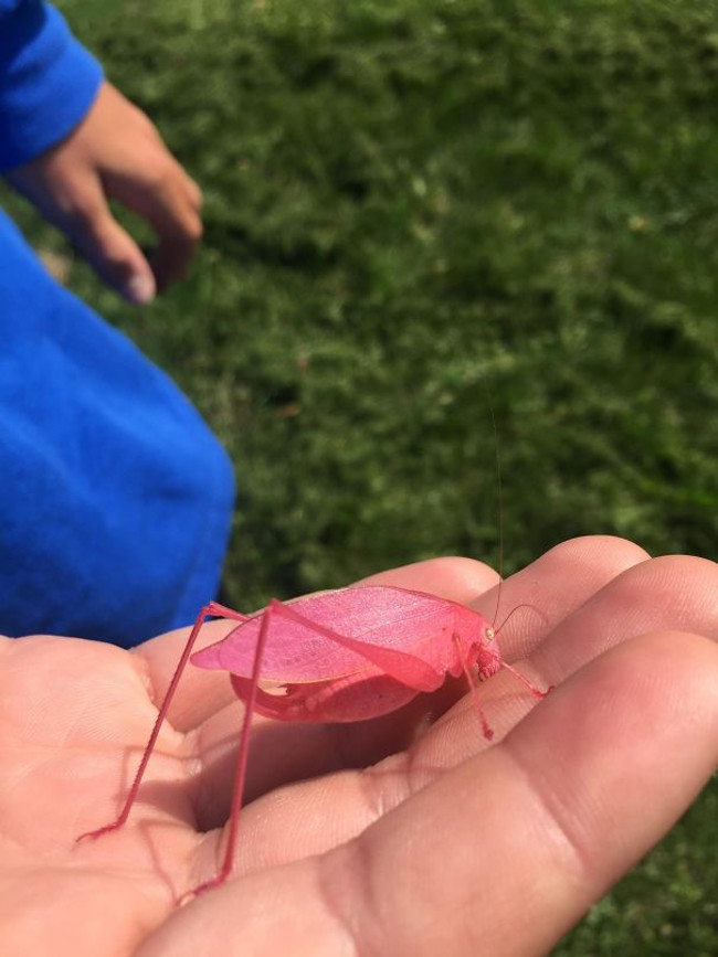 30+ images proving anything in life can happen Picture 32