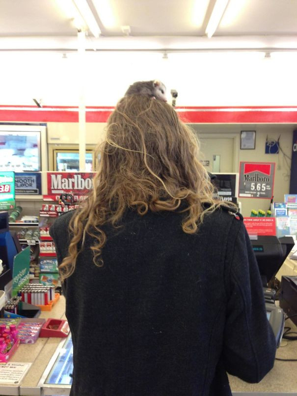 30+ images proving anything in life can happen Picture 37