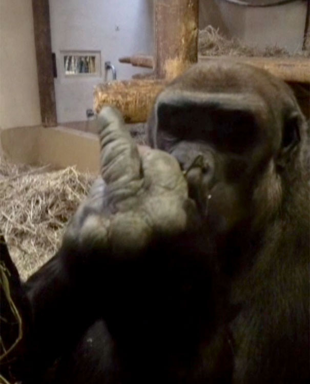 30+ images proving anything in life can happen Picture 8