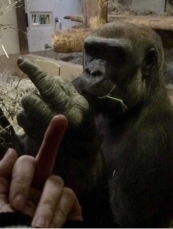 30+ images proving anything in life can happen Picture 9