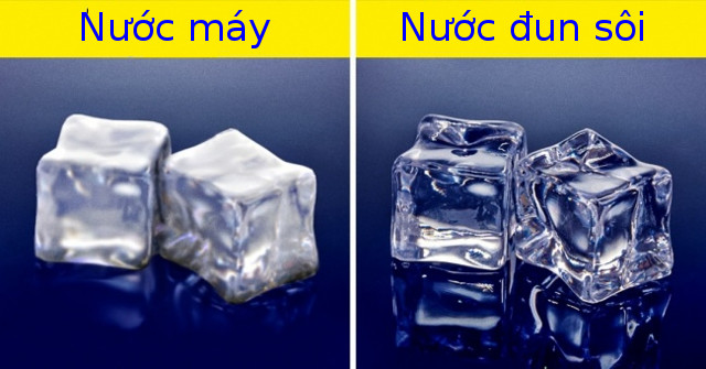 30 surprising facts in the world surprise both 'smartest' people Picture 9