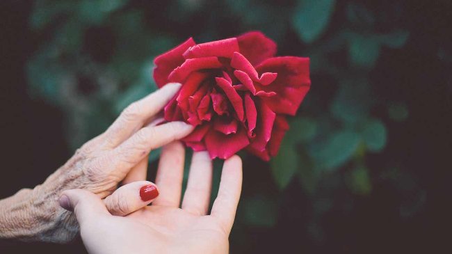 30 things every woman SHOULD HAVE AND SHOULD KNOW when they turn 30 Picture 4