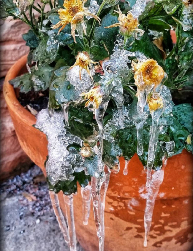 32 marvelous scenes like fairy tales can only appear in the cold winter Picture 16