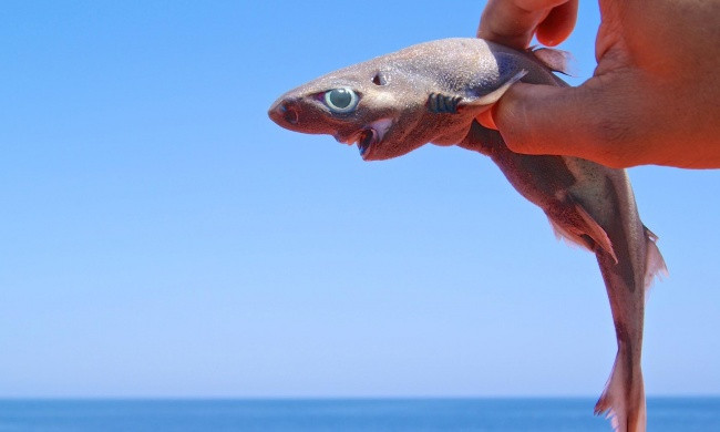 33 rare photos of very different angles of all things in the world Picture 10