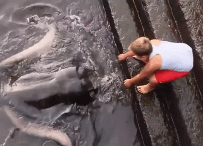 33 rare photos of very different angles of all things in the world Picture 23