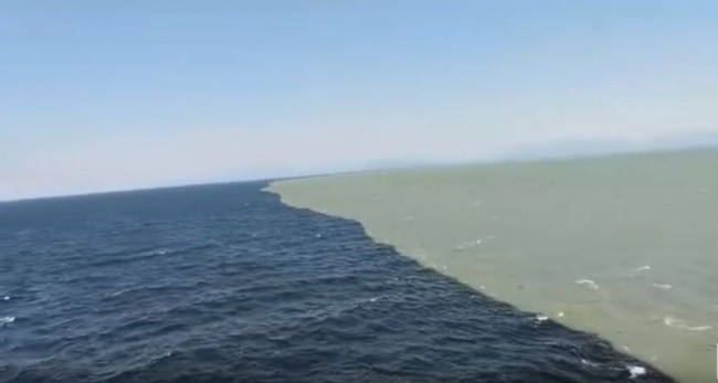 33 rare photos of very different angles of all things in the world Picture 3