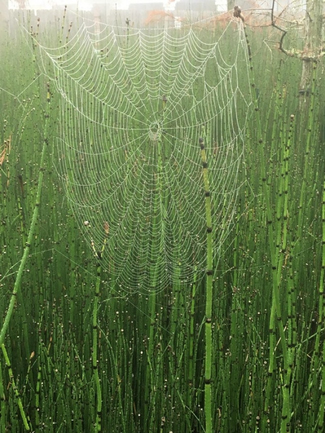 33 rare photos of very different angles of all things in the world Picture 30