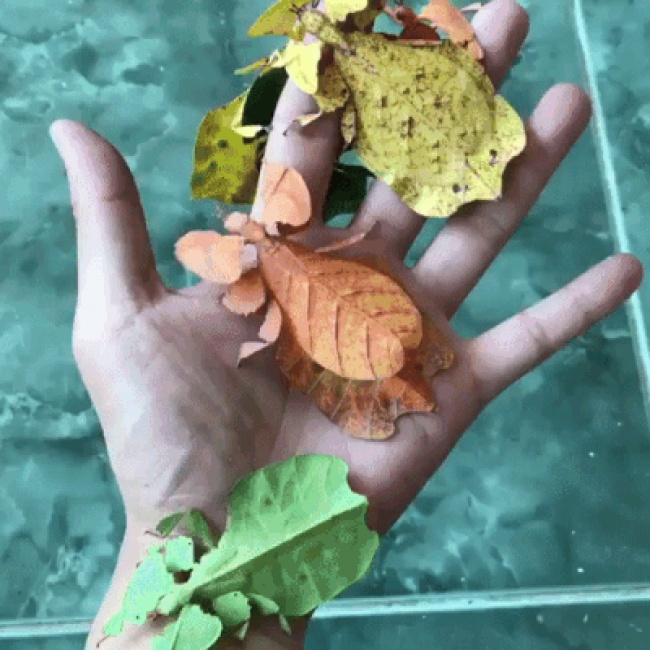 33 rare photos of very different angles of all things in the world Picture 31