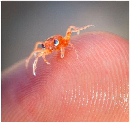 33 rare photos of very different angles of all things in the world Picture 6