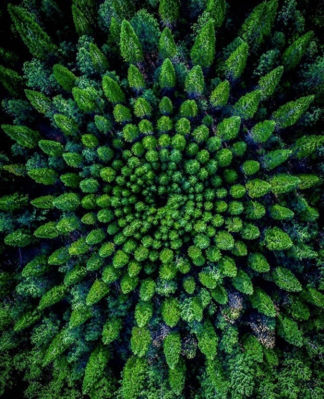 33 rare photos of very different angles of all things in the world Picture 9