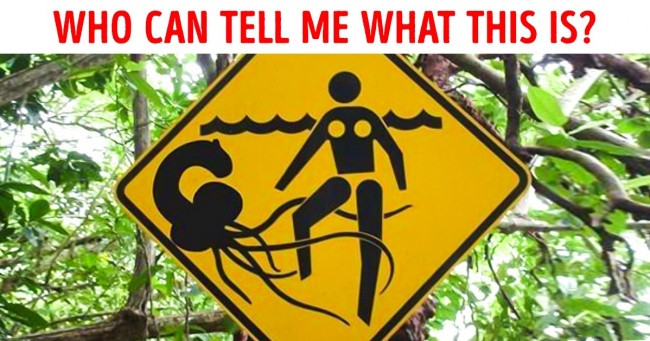 35 funny pictures make you believe that anything in this world can happen Picture 16