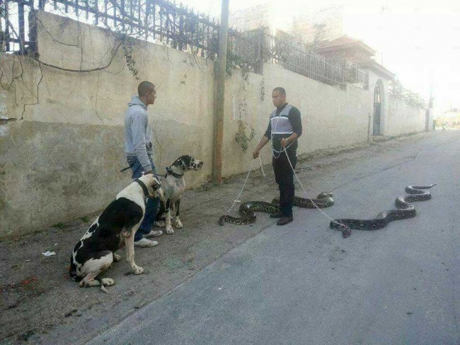 35 funny pictures make you believe that anything in this world can happen Picture 23