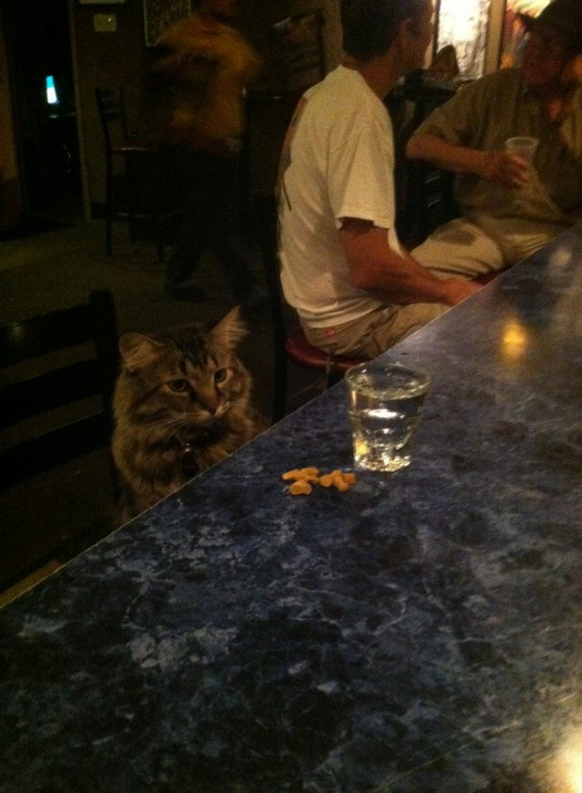 35 funny pictures make you believe that anything in this world can happen Picture 26