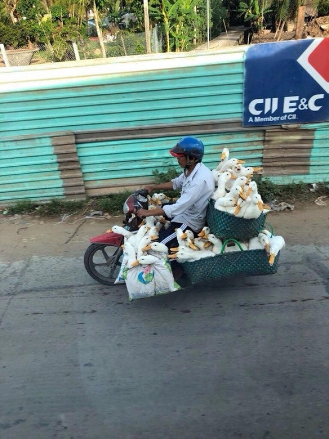 35 funny pictures make you believe that anything in this world can happen Picture 31