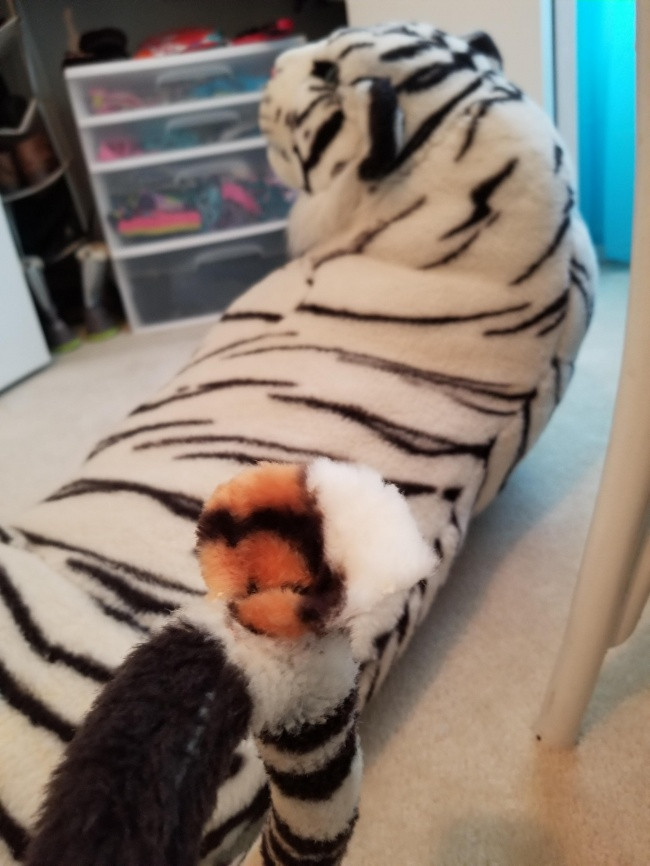 35 funny pictures make you believe that anything in this world can happen Picture 7