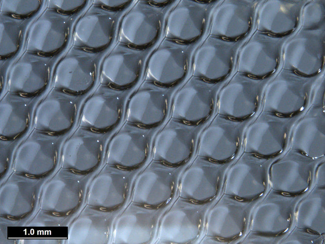 3D print ovaries bring hope to mother for many infertile women Picture 3