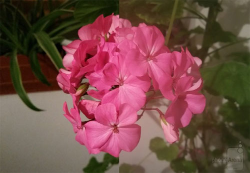 4 reasons for blurry photos taken with smartphones Picture 2