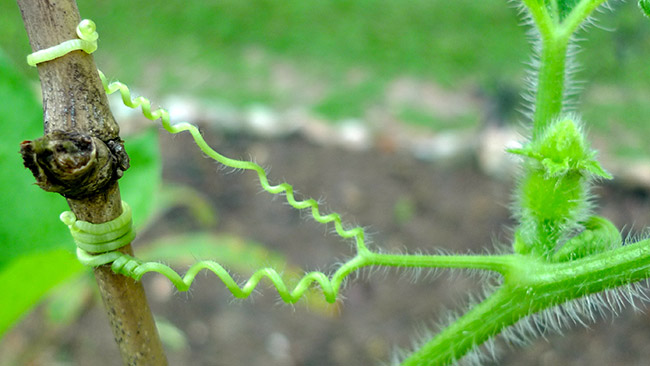 4 stages of life, at what stage are you 'suffering'? Picture 2