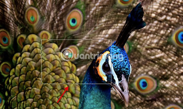 4 ways to enlarge photos in Photoshop Picture 3